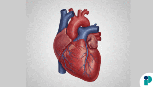 original web 2025 12 05t170827.746