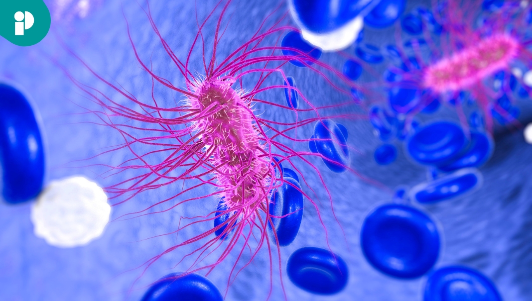 ¿Qué es la bacteria E. coli que generó un brote 10 estados de Estados ...
