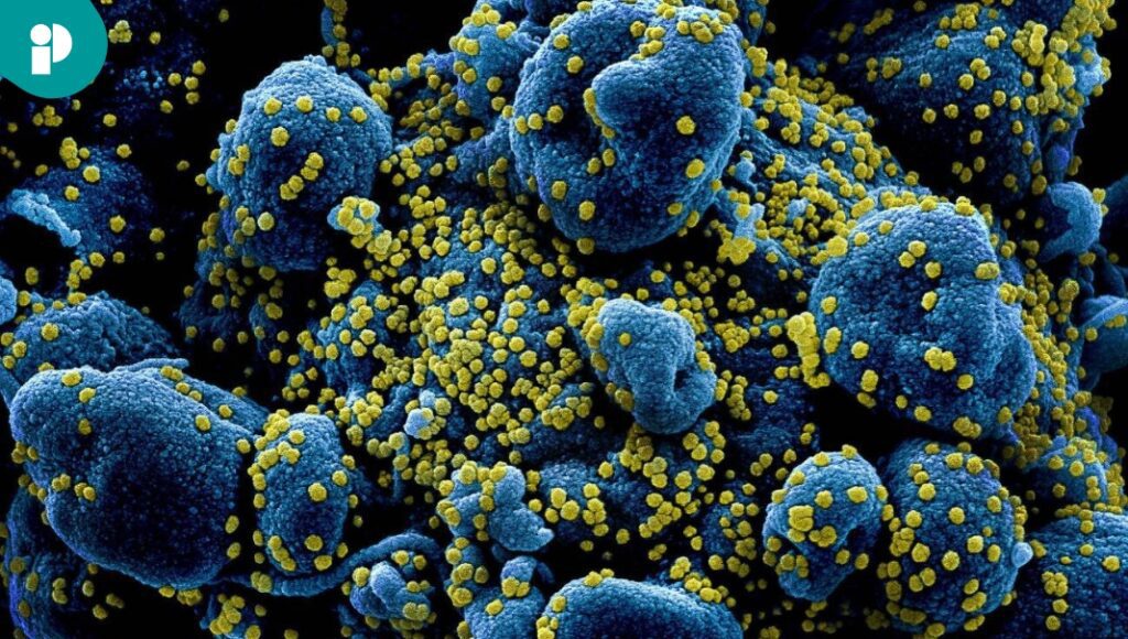 frame fotos notas ph latam 2024 11 15t214706.626