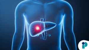 original web 2025 12 05t180659.556