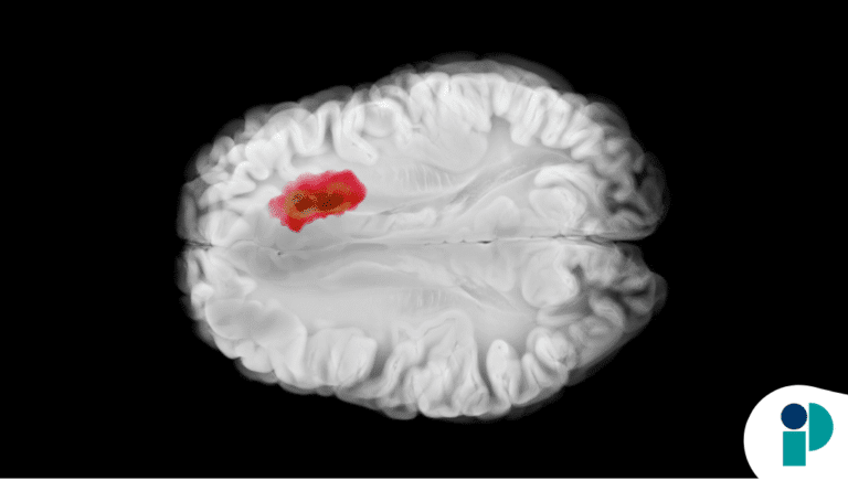 original web 2025 12 05t183454.229