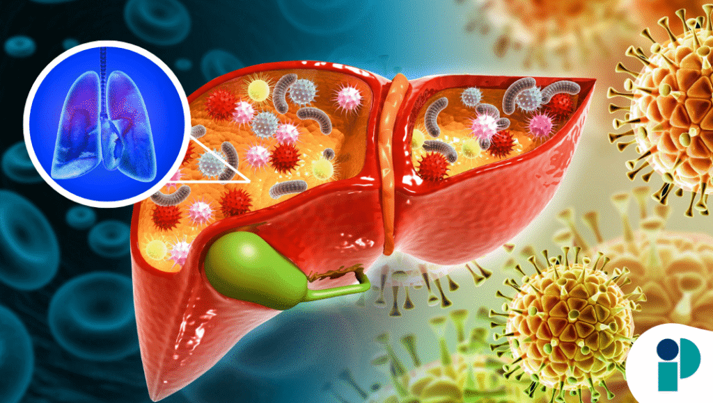 original web 2025 12 11t174910.264