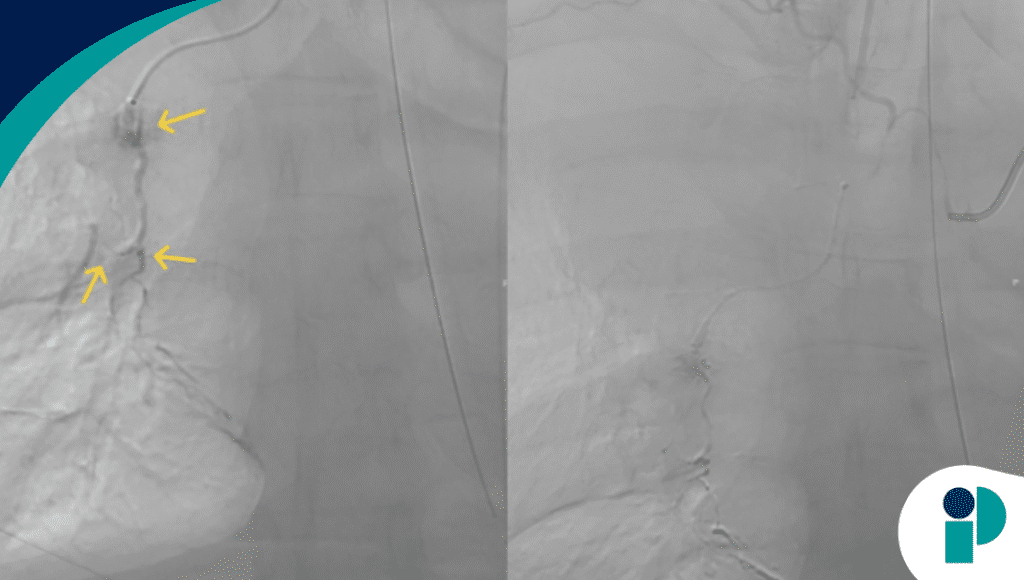 original web 2025 12 09t170833.134