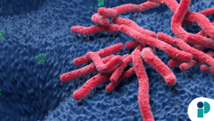 original web 2025 12 12t172628.449