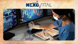 original notas web nv (1)