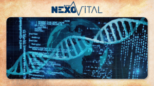 original notas web nv