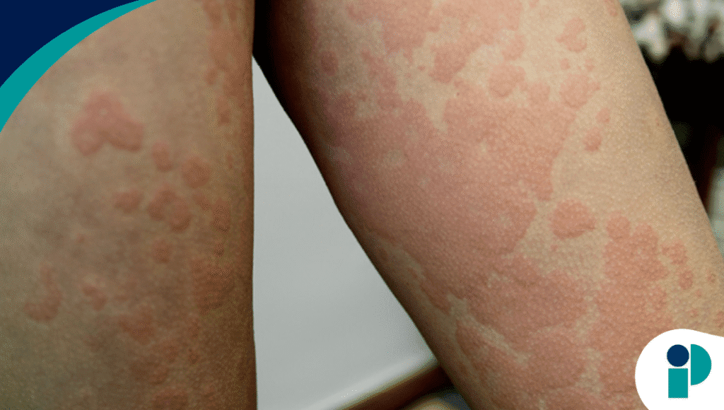 original web 2025 12 05t171154.446