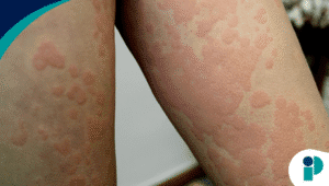 original web 2025 12 05t171154.446