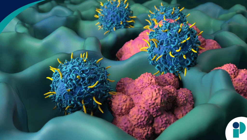 original web 2025 09 02t174552.686