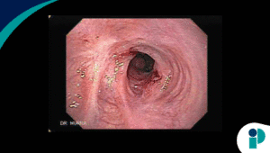 original web 2025 10 20t192827.595