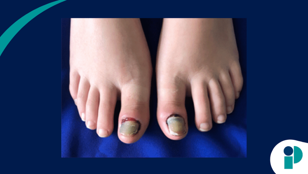 original web 2025 10 21t194639.616