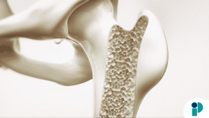 original web 2025 10 22t183007.671