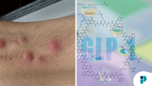 original web 2025 10 23t180529.075