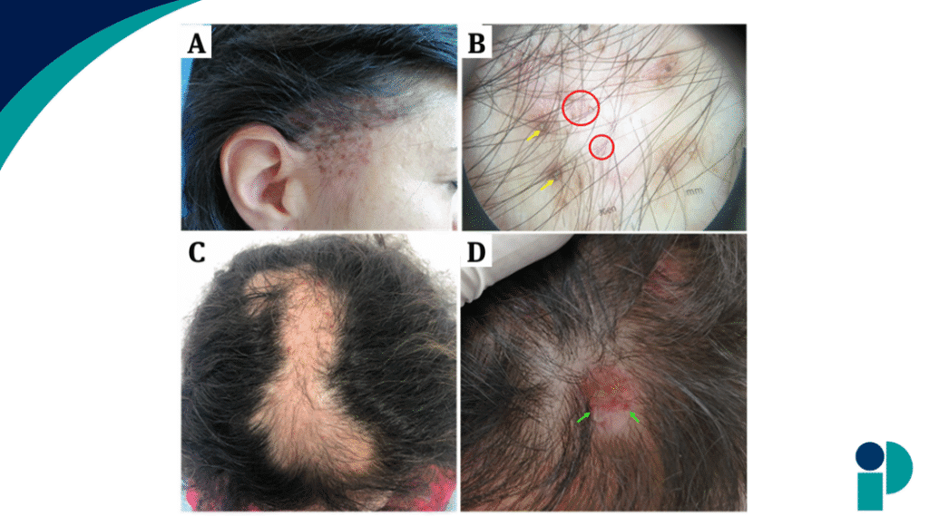 original web 2025 10 23t195436.127