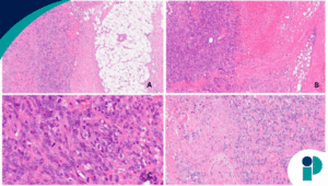 original web 2025 10 24t180252.181