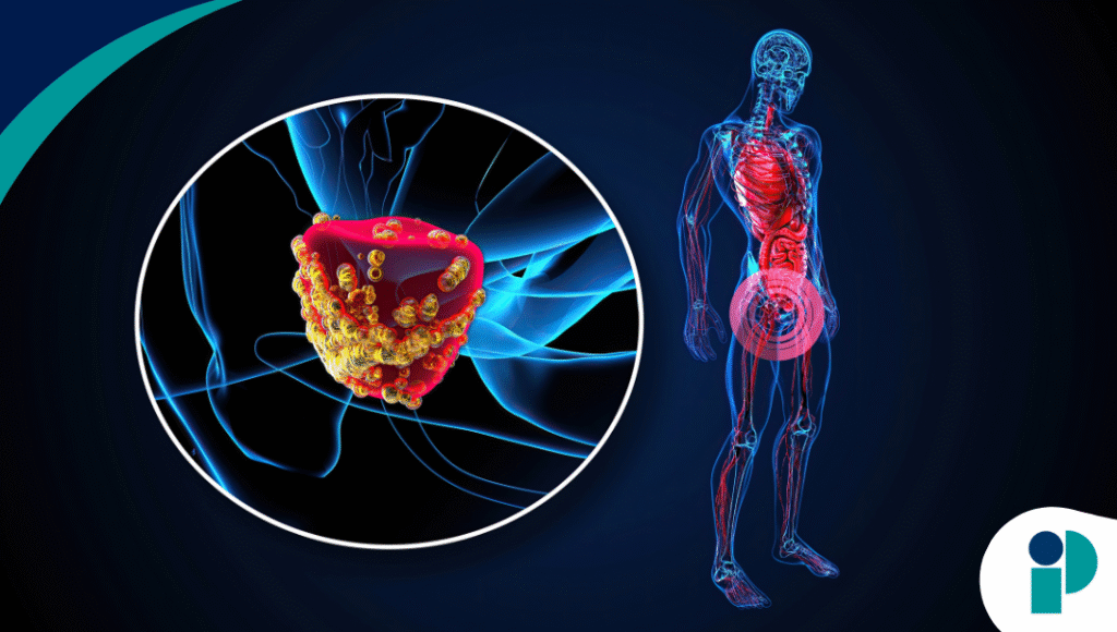 original web 2025 10 27t115304.731