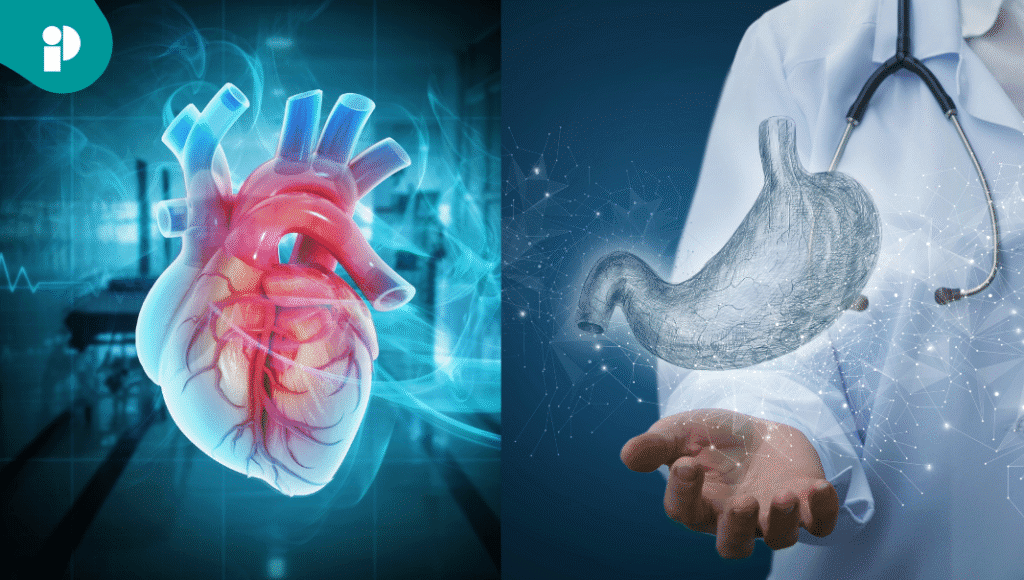 original web 2025 10 27t174016.670