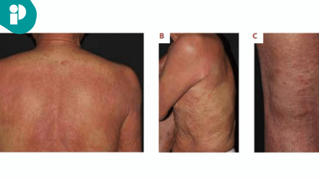 original web 2025 10 28t162108.802