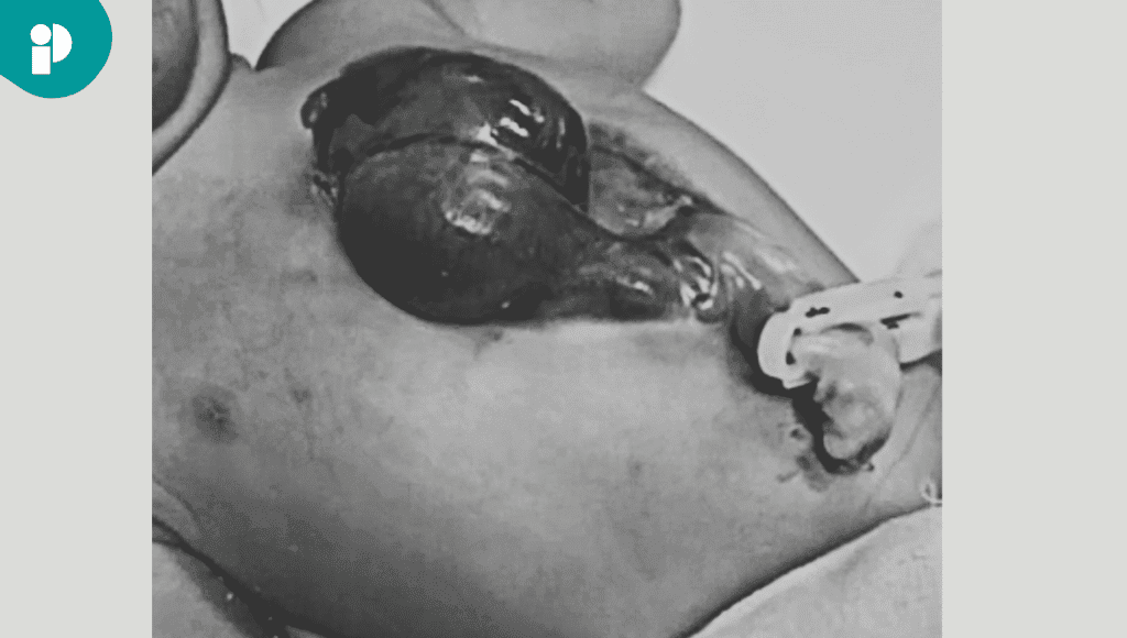 original web 2025 10 30t154707.520