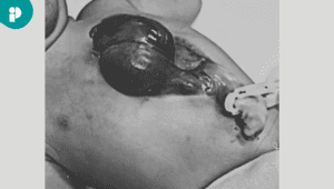 original web 2025 10 30t154707.520