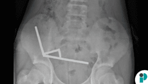 original web 2025 10 31t161711.125