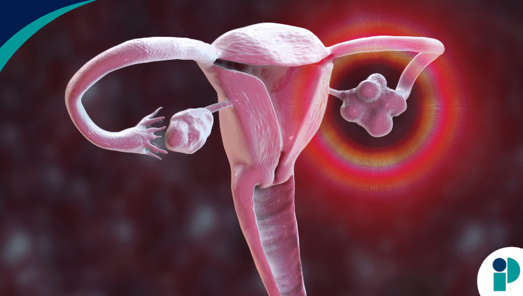 original web 2025 10 31t170724.499