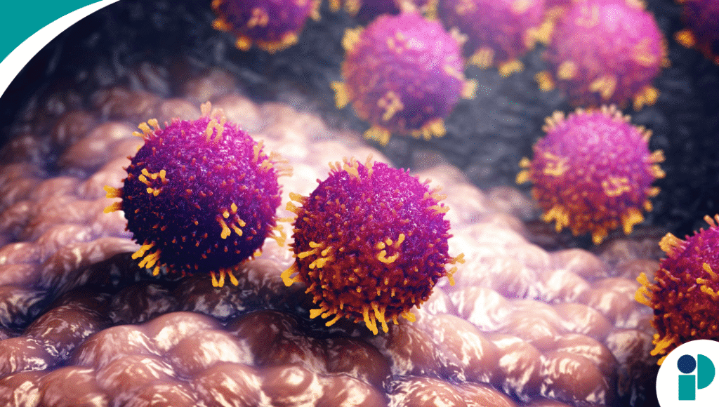 original web 2025 10 31t181334.614