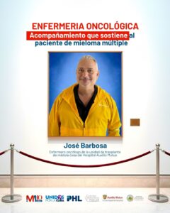 original plantillas ig 208