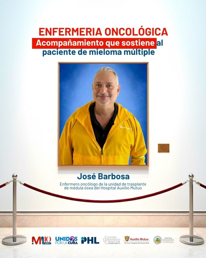 original plantillas ig 208