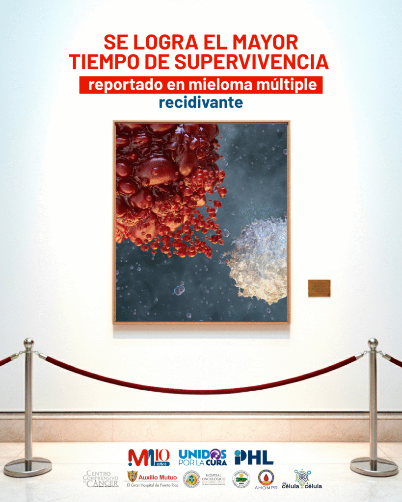 original plantillas ig (29) (1)