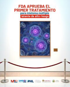 original plantillas ig (6)