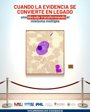 original plantillas ig 89