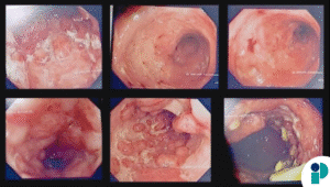 original web 2025 11 03t150850.759