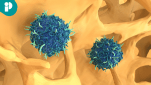 original web 2025 11 04t180917.815