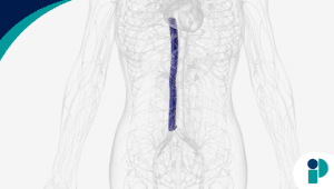 original web 2025 11 06t165920.267