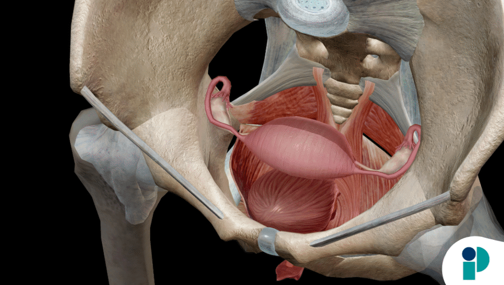 original web 2025 11 06t181026.965