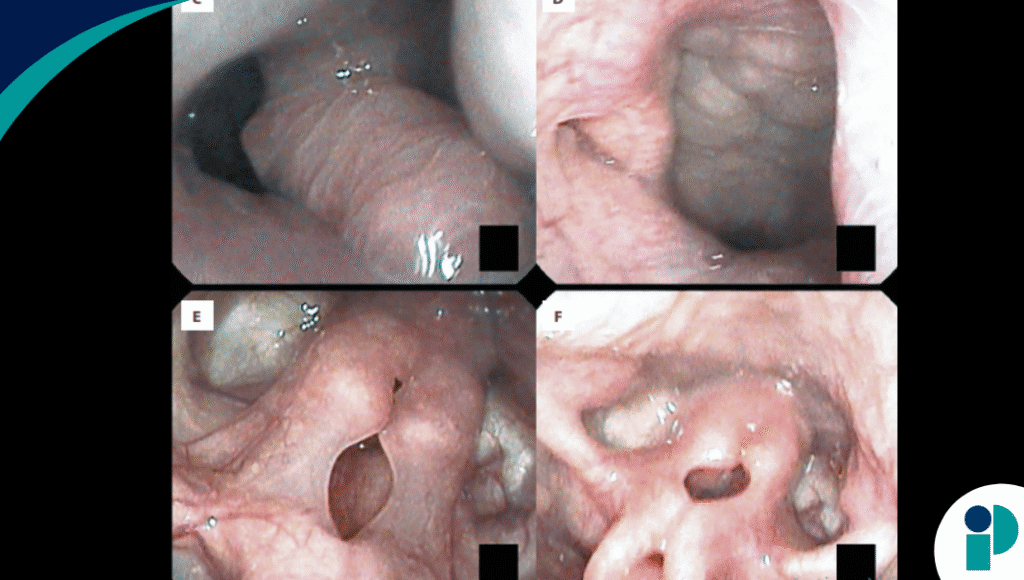 original web 2025 11 11t162540.533