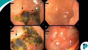 original web 2025 11 13t142344.640