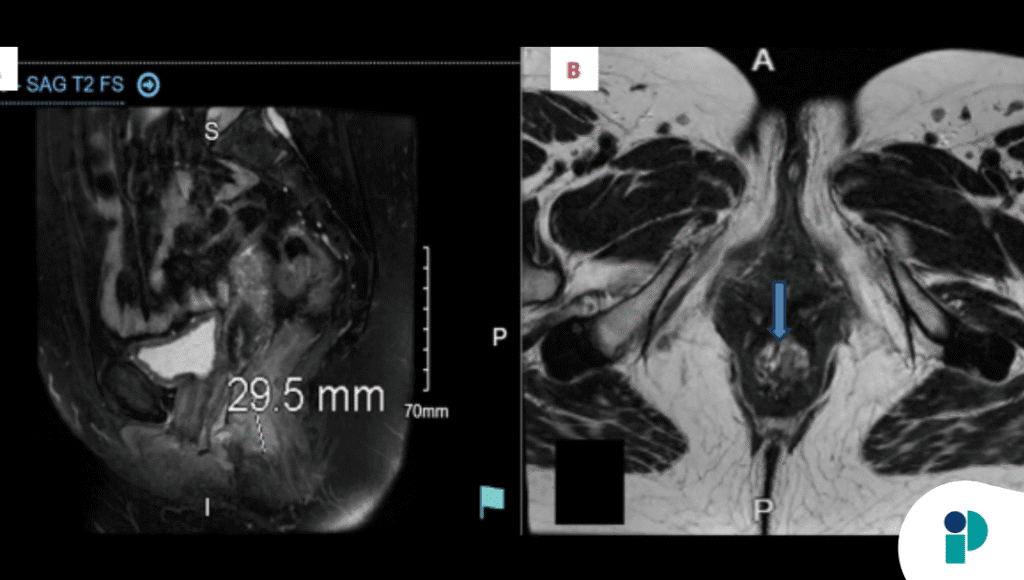 original web 2025 11 14t162942.178