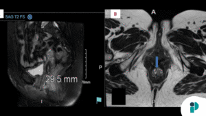 original web 2025 11 14t162942.178