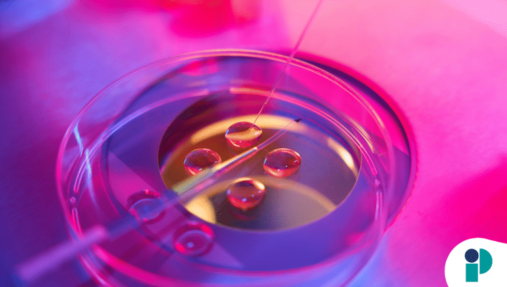 original web 2025 11 14t172208.795