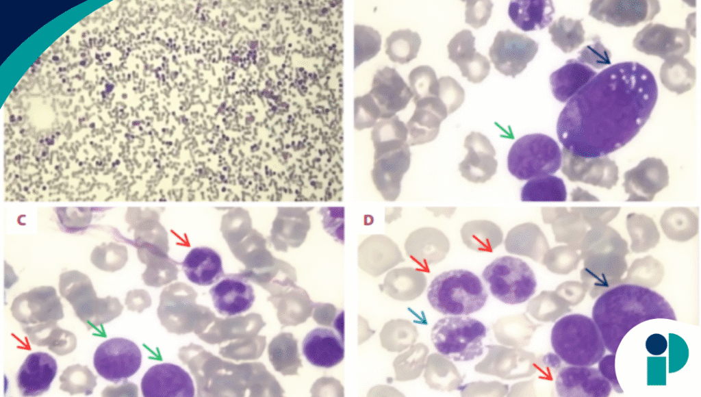 original web 2025 11 19t141800.648