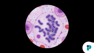 original web 2025 11 19t175659.385