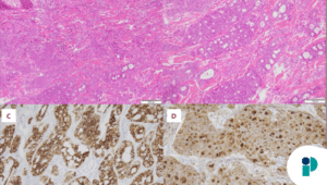 original web 2025 11 21t154818.885