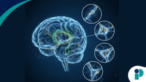 original web 2025 11 21t170406.617