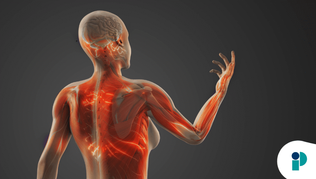 original web 2025 11 24t154128.229