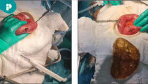 original web 2025 11 25t130658.349