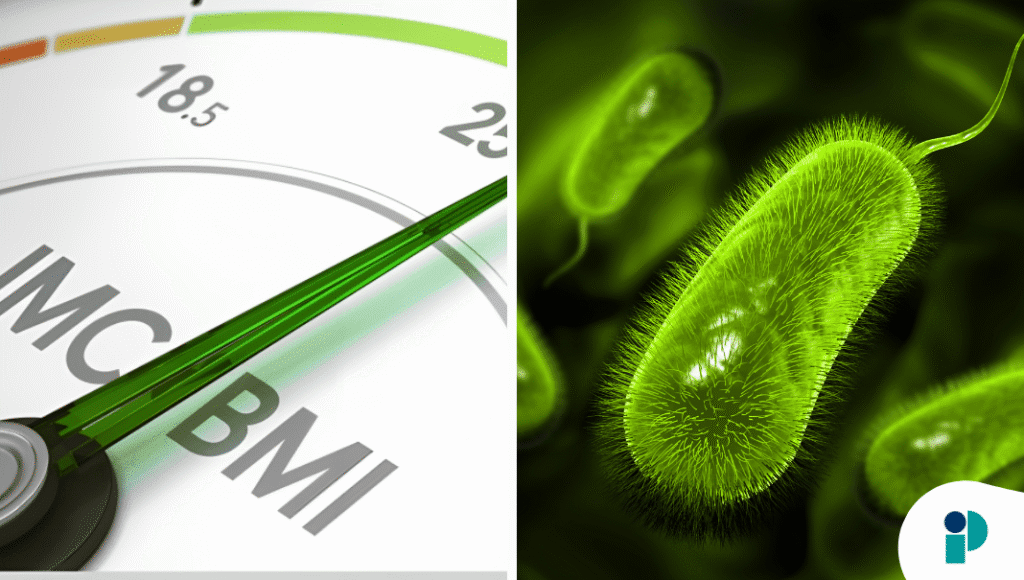 original web 2025 11 25t161549.139