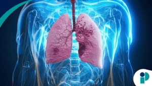 original web 2025 11 26t180918.259