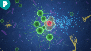 original web 2025 12 01t163910.271